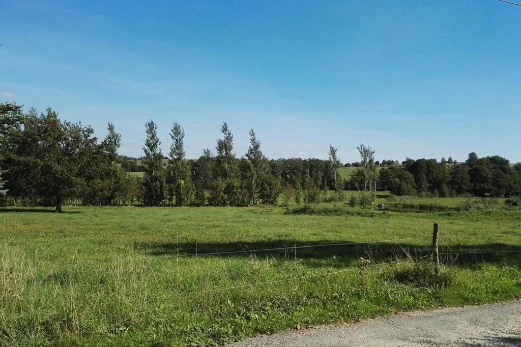 Ferienwohnung In Mittelsaida Grosshartmannsdorf Экстерьер фото