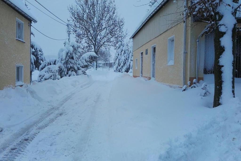 Ferienwohnung In Mittelsaida Grosshartmannsdorf Экстерьер фото